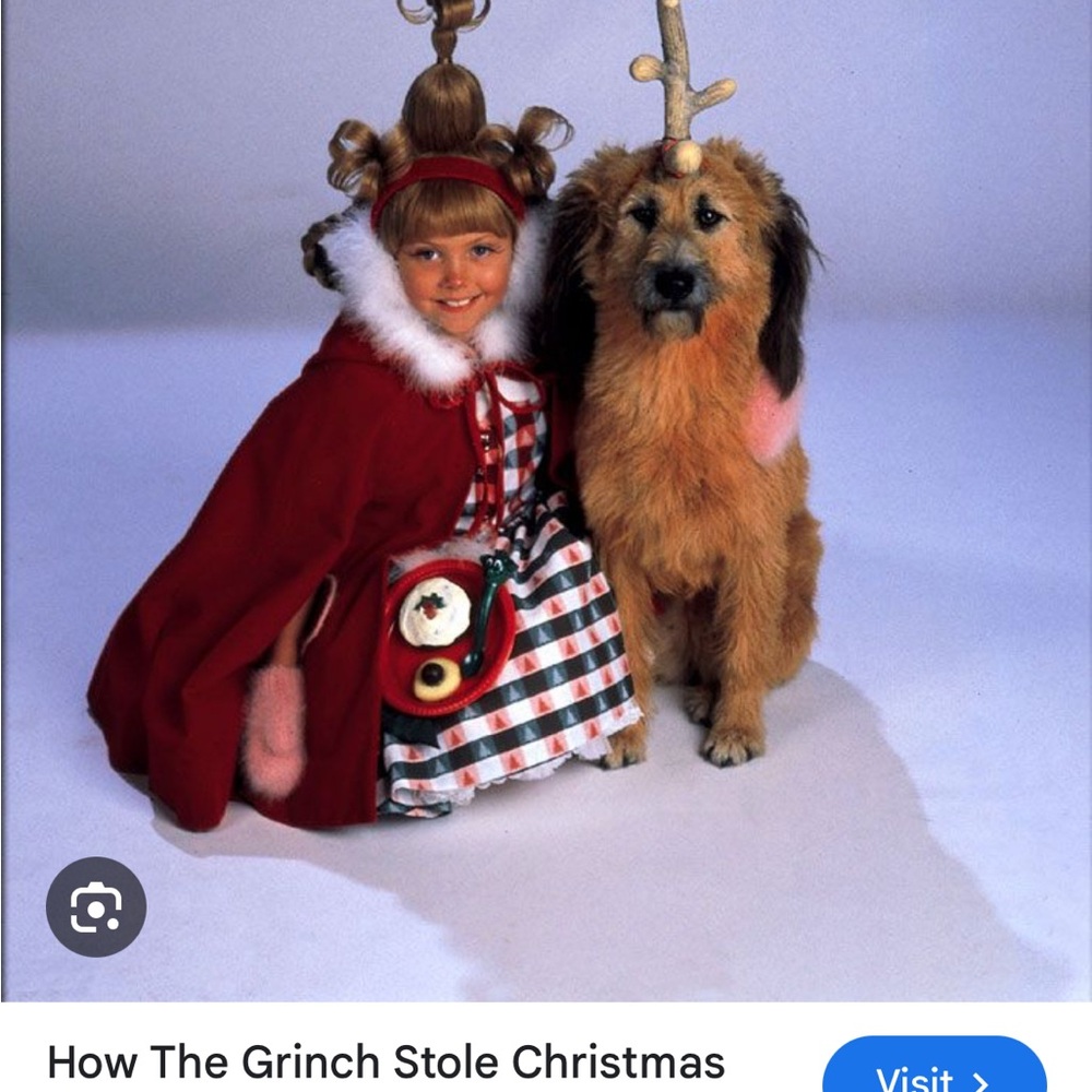 Toddler Christmas Dress- The Grinch - Picture 7 of 7